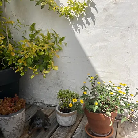 Maison De Avec Terrasse Дом отдыха Байе