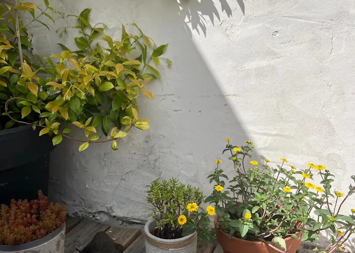 Maison De Avec Terrasse Casa vacanze Bayeux